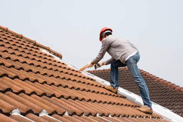 Best Roofing for New Construction  in Panguitch, UT